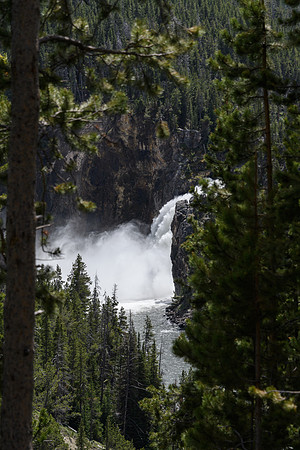 yellowstonetc-7594