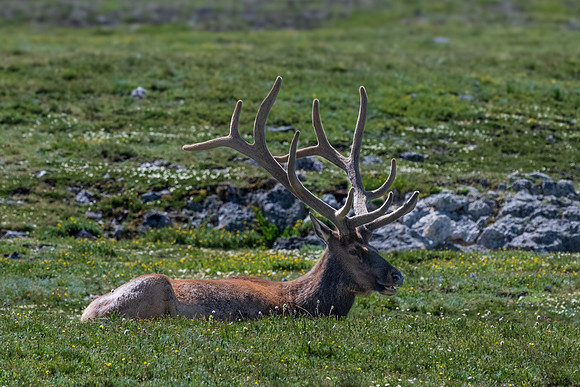 Rocky Mountain NP _MAK6846