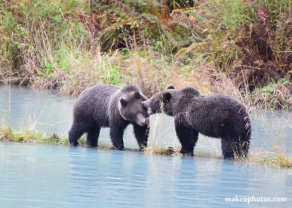 Alaska-2016-MAK_9713c