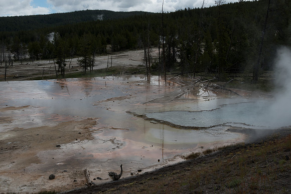 yellowstonetc-7201