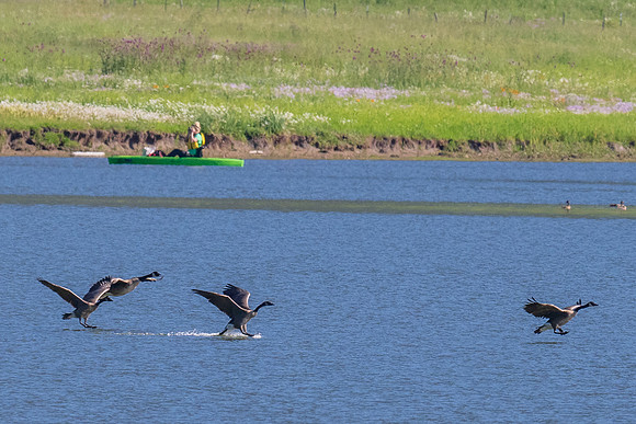 Pagosa Springs Colorado _MAK7701