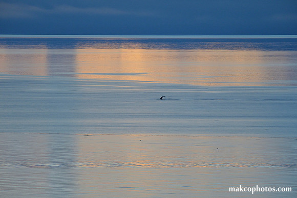 Alaska-2016-MAK_8429