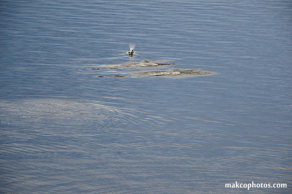 Alaska-2016-MAK_8479_01