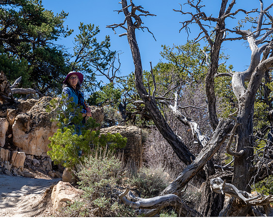 Grand Canyon-_MAK0178-HDR