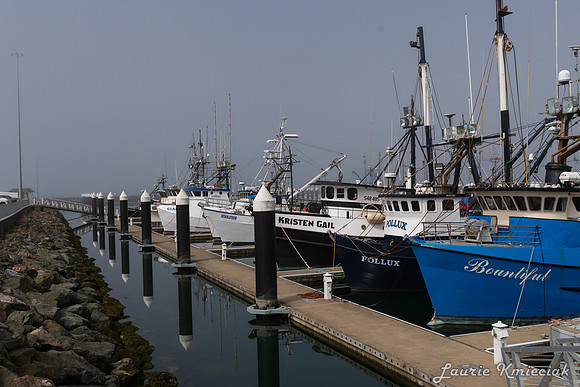 Crescent City CALAK_1048