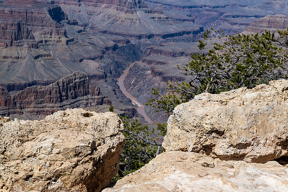 Grand Canyon-_MAK0208