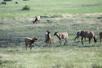 NationalParks-MAK_4152
