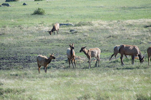 NationalParks-MAK_4152