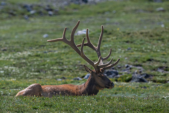 Rocky Mountain NP _MAK6781