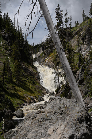 yellowstonetc-7390