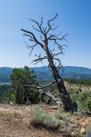 Chimney Rock _MAK7494