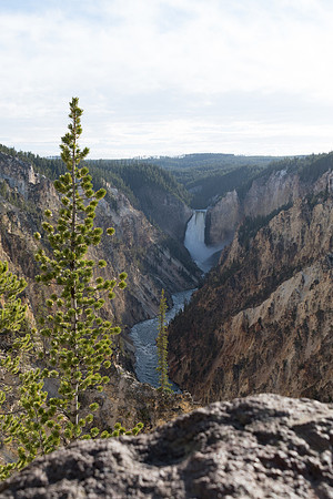 yellowstonetc-7008