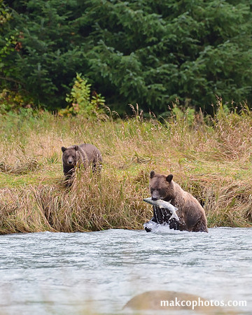 Alaska-2016-MAK_9551c