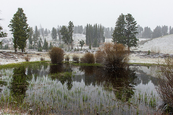 Yellowstone MAK_8418-2