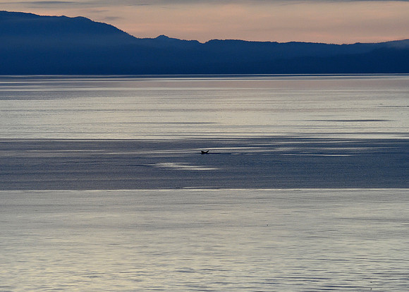 Alaska2016_LAK0796c