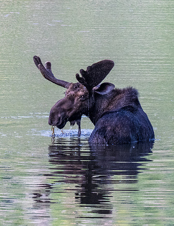 Rocky Mountain NP _MAK7199