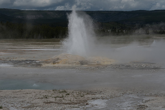 yellowstonetc-7301