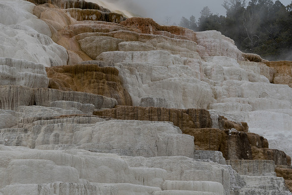 yellowstonetc-7566