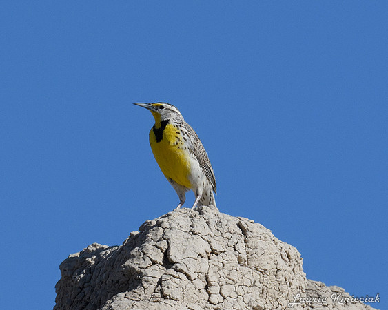 Badlands-LAK_6183