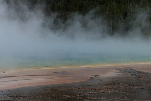 yellowstonetc-7182