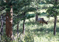NationalParks-MAK_4137