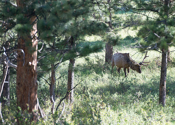 NationalParks-MAK_4137