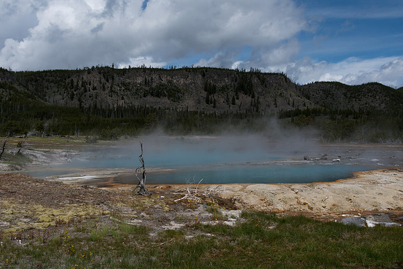 yellowstonetc-7337