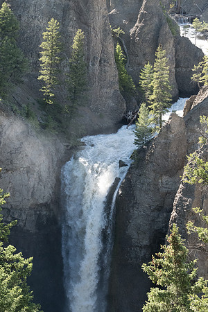 yellowstonetc-7416