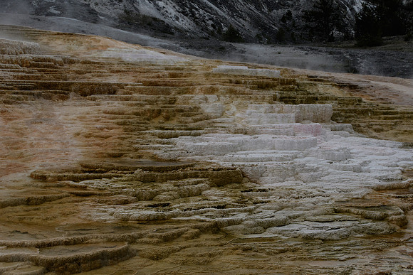 yellowstonetc-7509