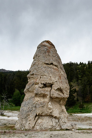 yellowstonetc-7547