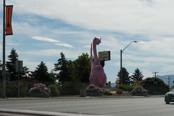 yellowstonetc-8053