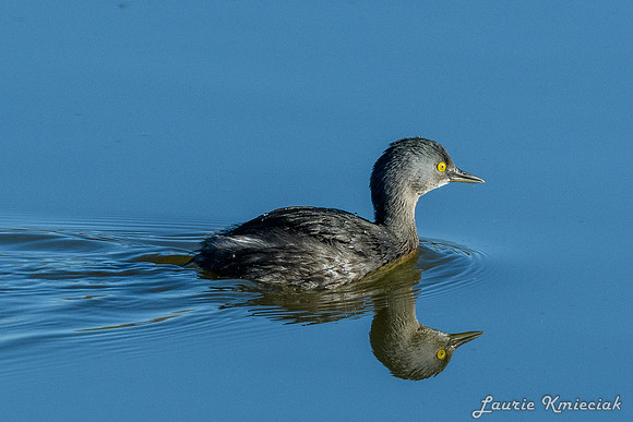 Edinburg Scenic Wetlands-LAK_3400-2
