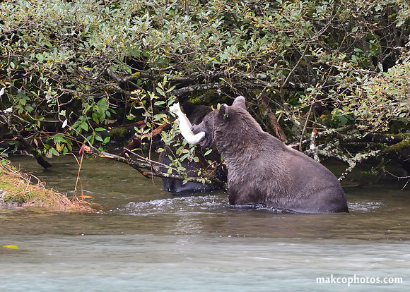 Alaska-2016-MAK_9751c