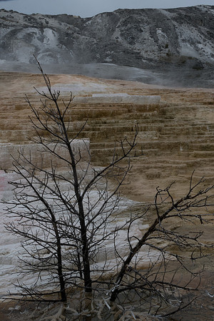 yellowstonetc-7512