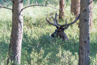 NationalParks-MAK_4142
