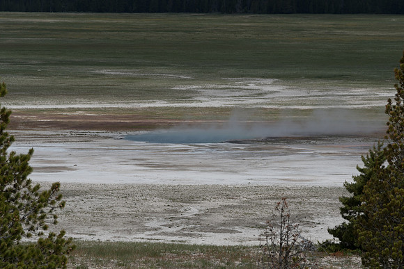 yellowstonetc-7288