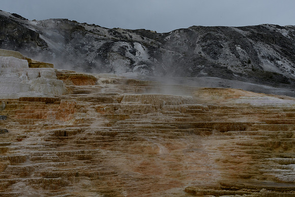 yellowstonetc-7505