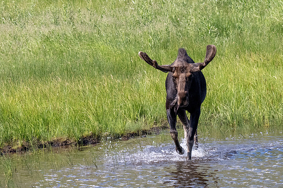 Rocky Mountain NP _MAK7092