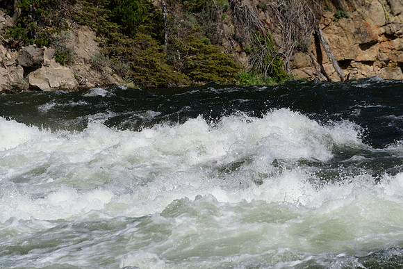 yellowstonetc-6927