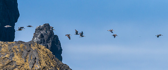 Cannon Beach-_MAK5932