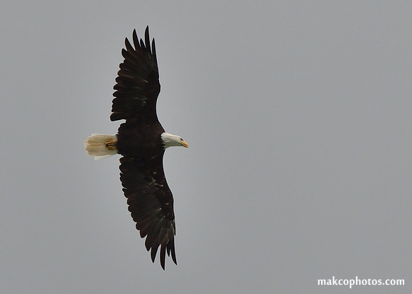 Alaska-2016-MAK_9263c