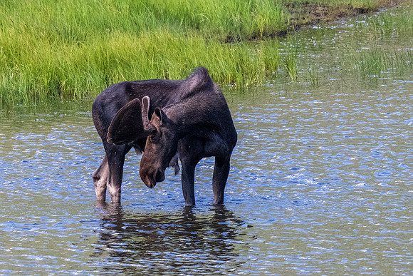 Rocky Mountain NP _MAK7111