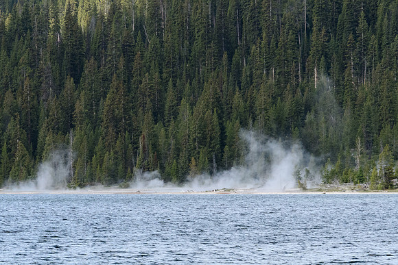 yellowstonetc-7049
