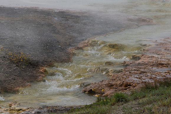 yellowstonetc-7192
