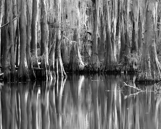 Caddo2016_LAK3271c