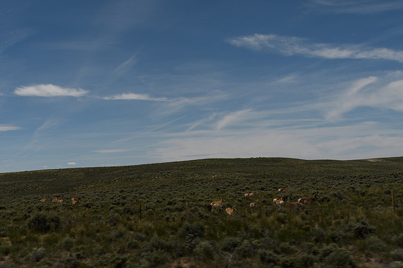 yellowstonetc-7923