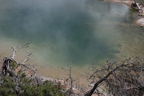 yellowstonetc-7283