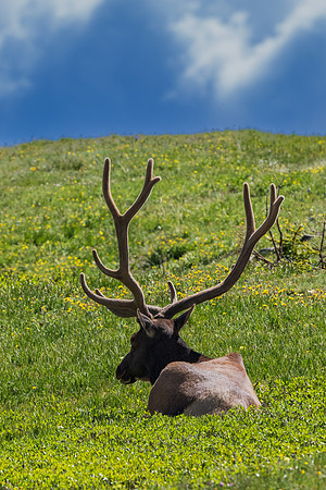 Rocky Mountain NP _MAK6754